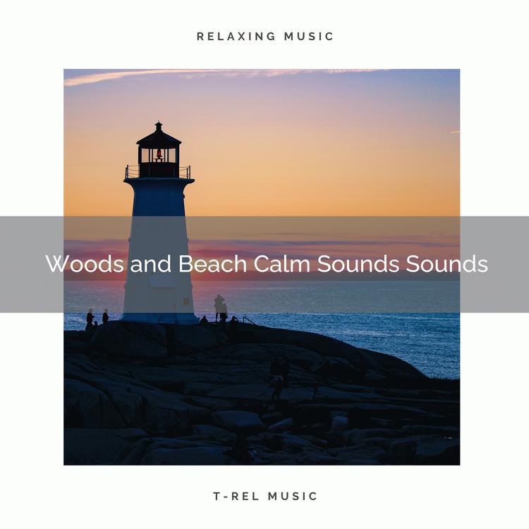 Calming Waves's avatar image