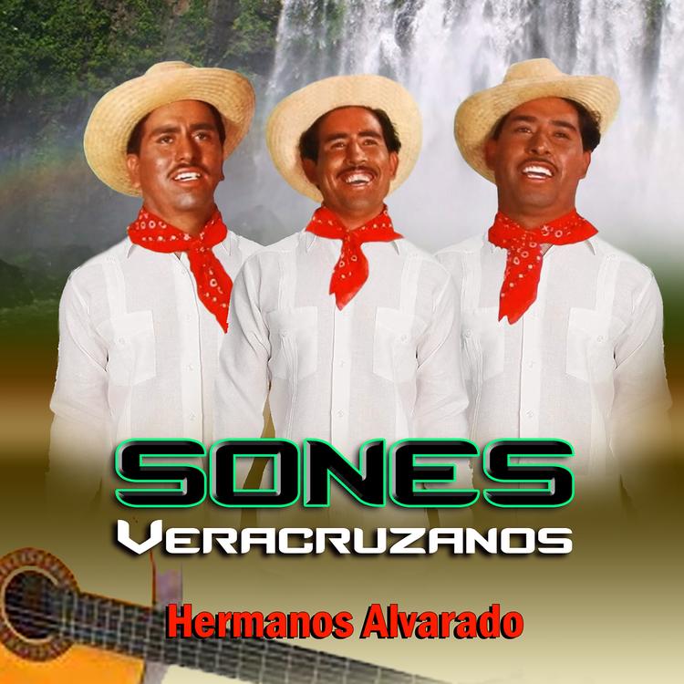 Hermanos Alvarado's avatar image