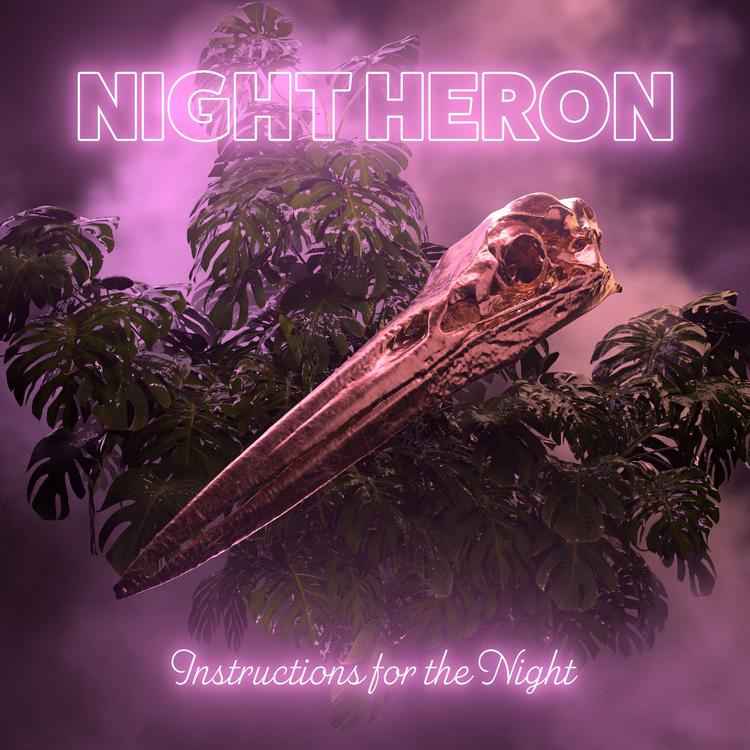 Night Heron's avatar image
