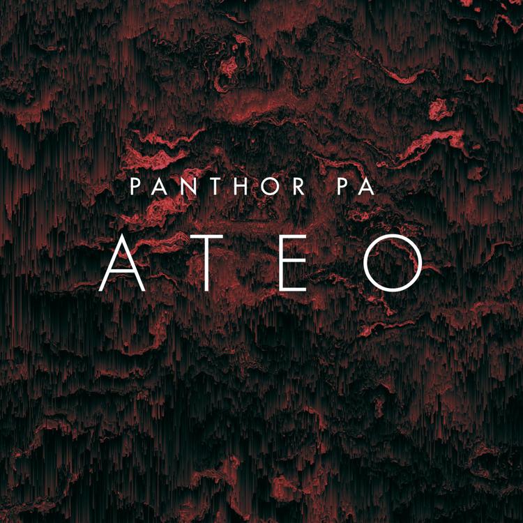 Panthor Pa's avatar image