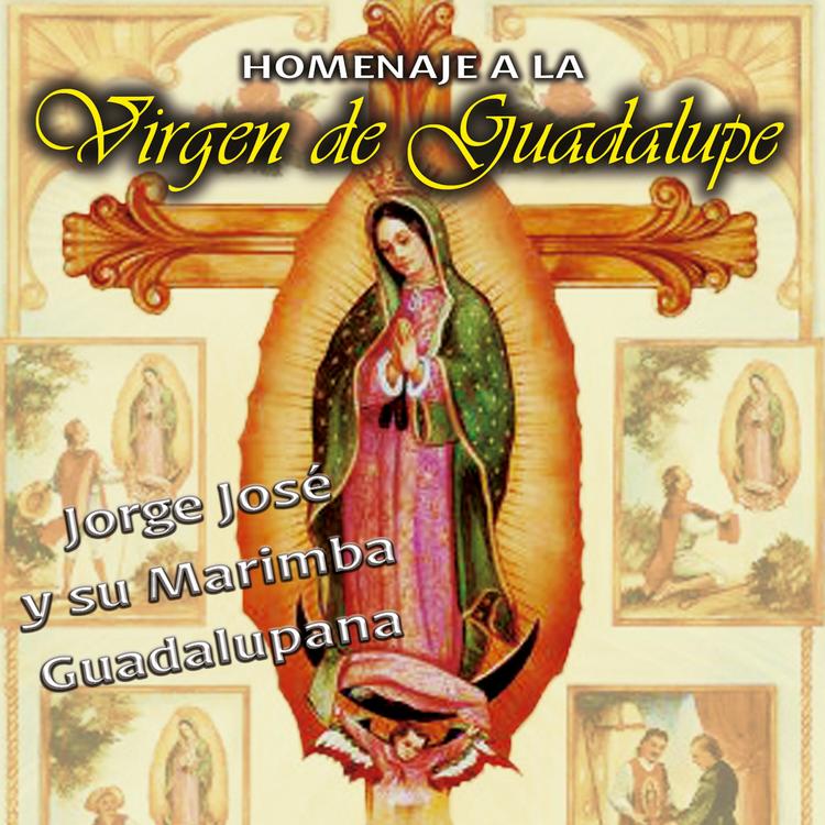 Jorge Jose Y Su Marimba Guadalupana's avatar image