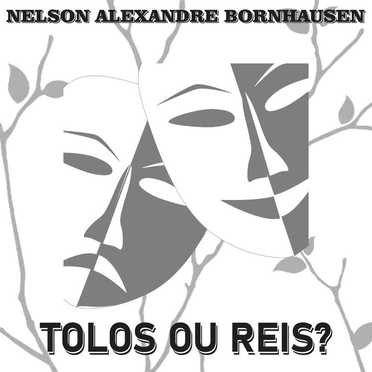 Nelson Alexandre Bornhausen's avatar image