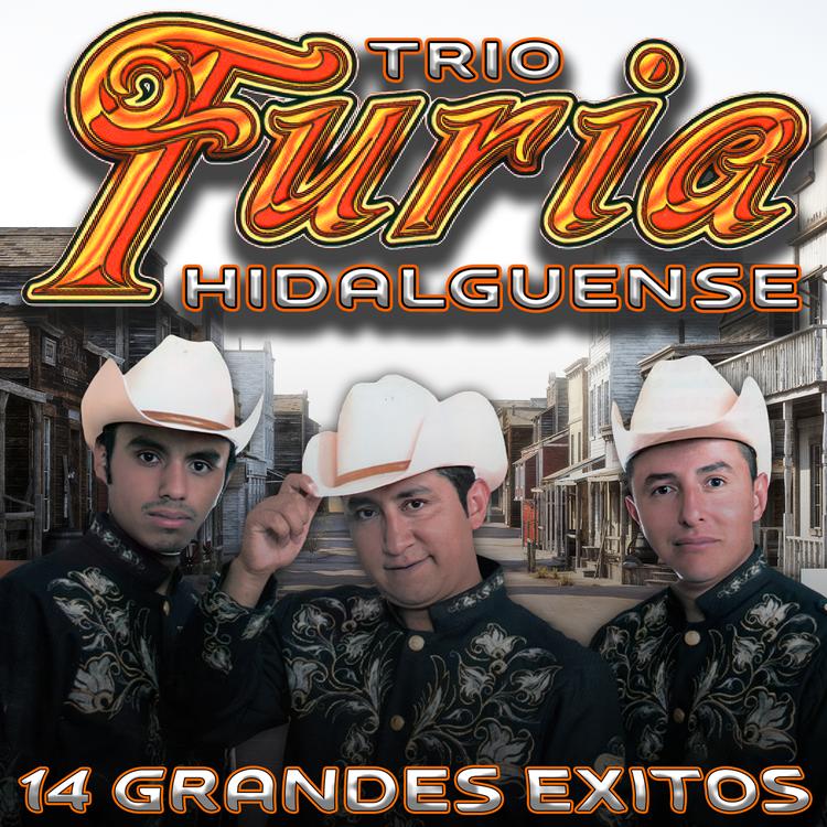 Trio Furia Hidalguense's avatar image