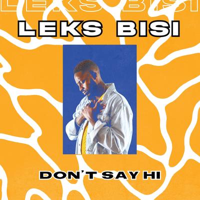 Don't Say Hi By Leks Bisi's cover