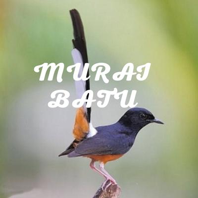 Murai Batu's cover