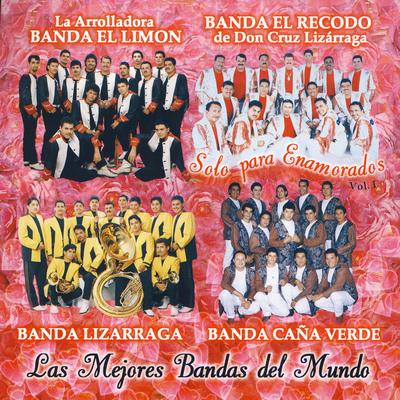 Si Quiere By Banda El Recodo de Cruz Lizãrraga's cover