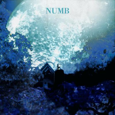 Numb's cover