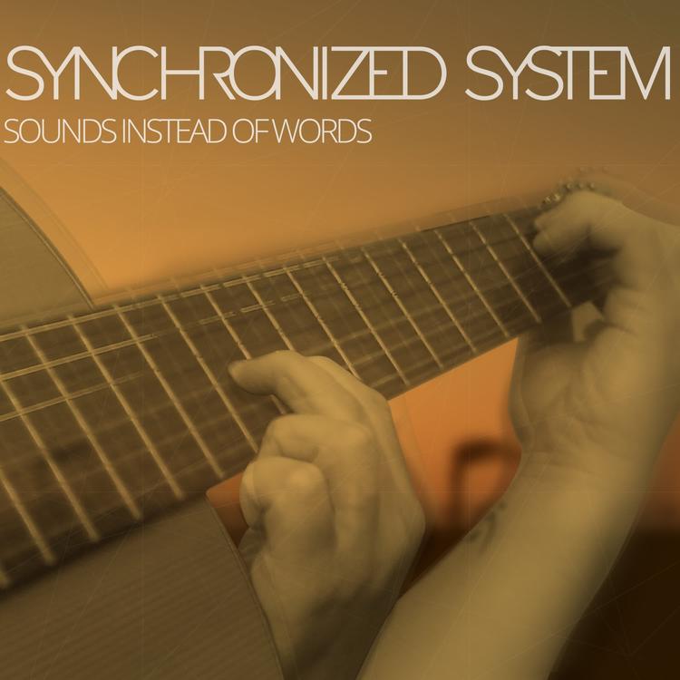 Synchronized System's avatar image