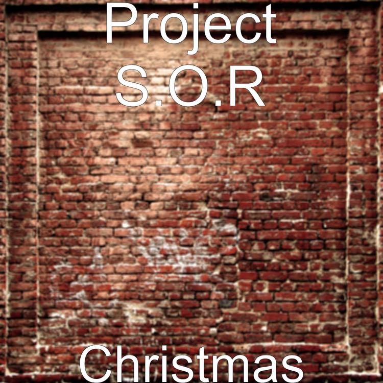 Project S.O.R's avatar image