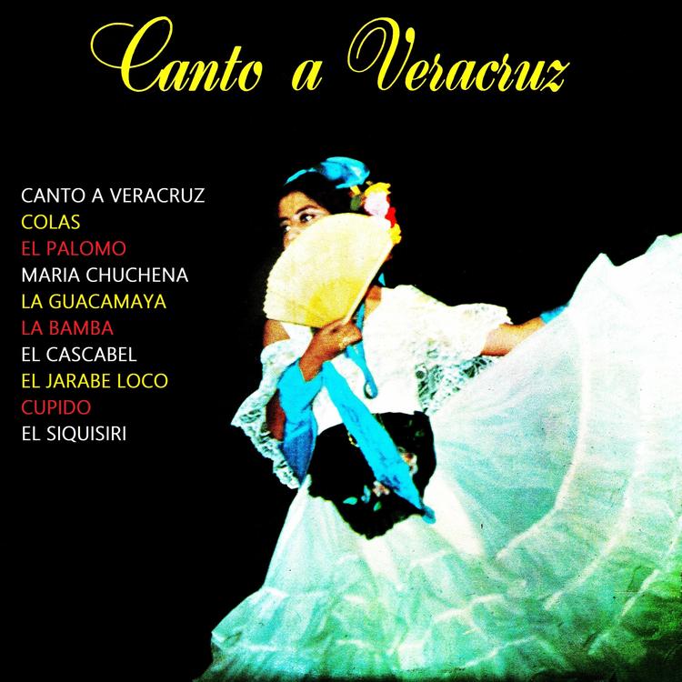 Conjunto jarocho los millonarios's avatar image