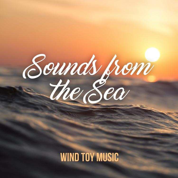 Wind Toy Music's avatar image