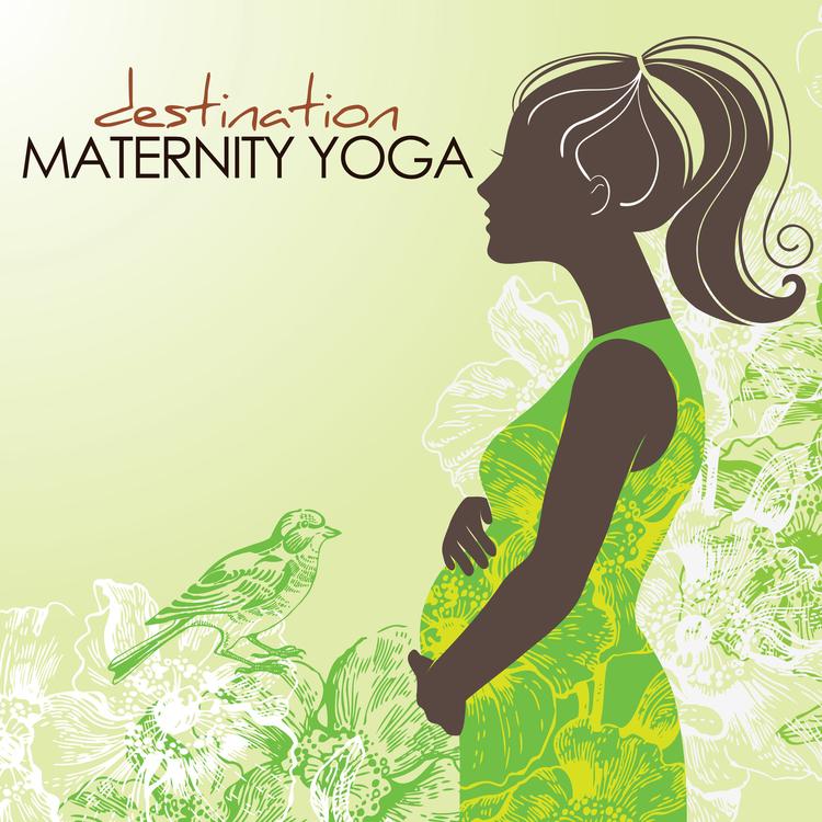 Best Pregnancy Yoga Music's avatar image