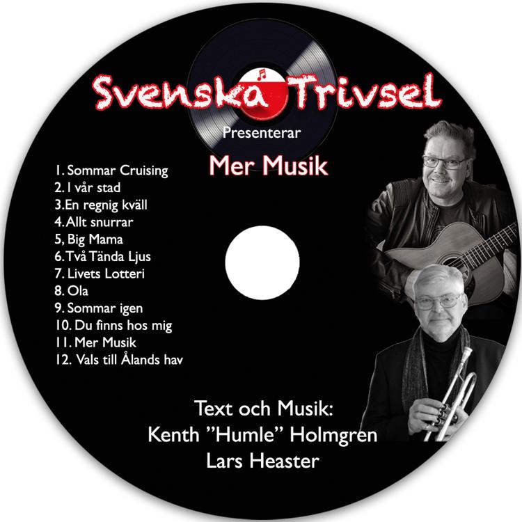 Svenska Trivsel's avatar image