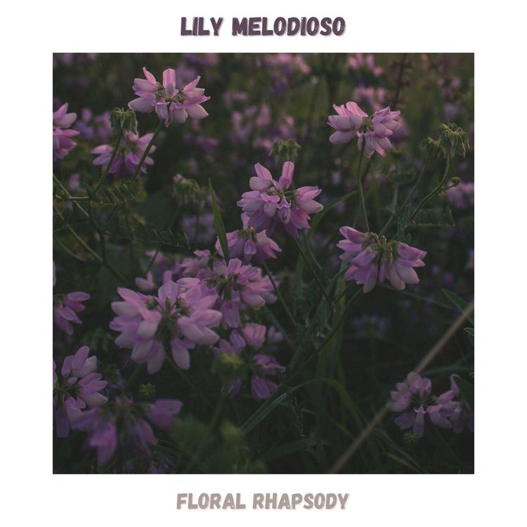 Lily Melodioso's avatar image