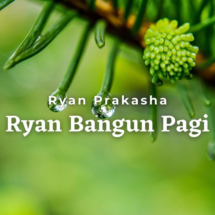 Ryan Prakasha's avatar image