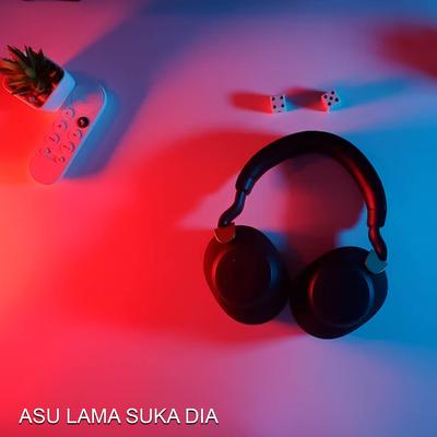 ASU LAMA SUKA DIA's cover