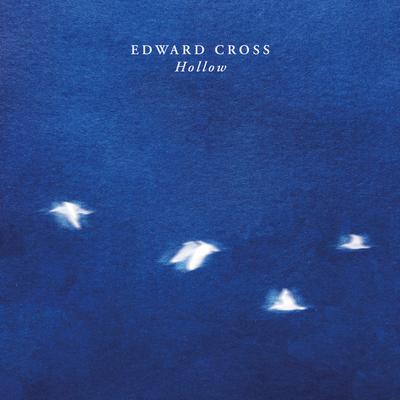 Hollow By Edward Cross's cover