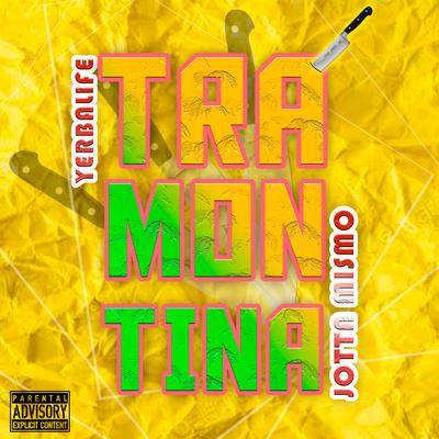 Tramontina's cover