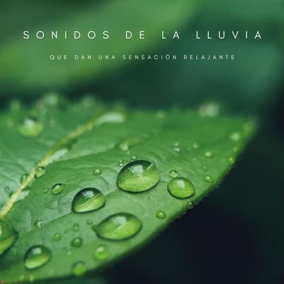 Sonidos De La Lluvia Que Dan Una Sensación Relajante's cover