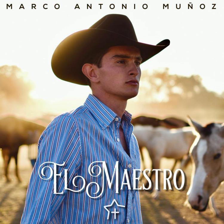 Marco Antonio Muñoz's avatar image