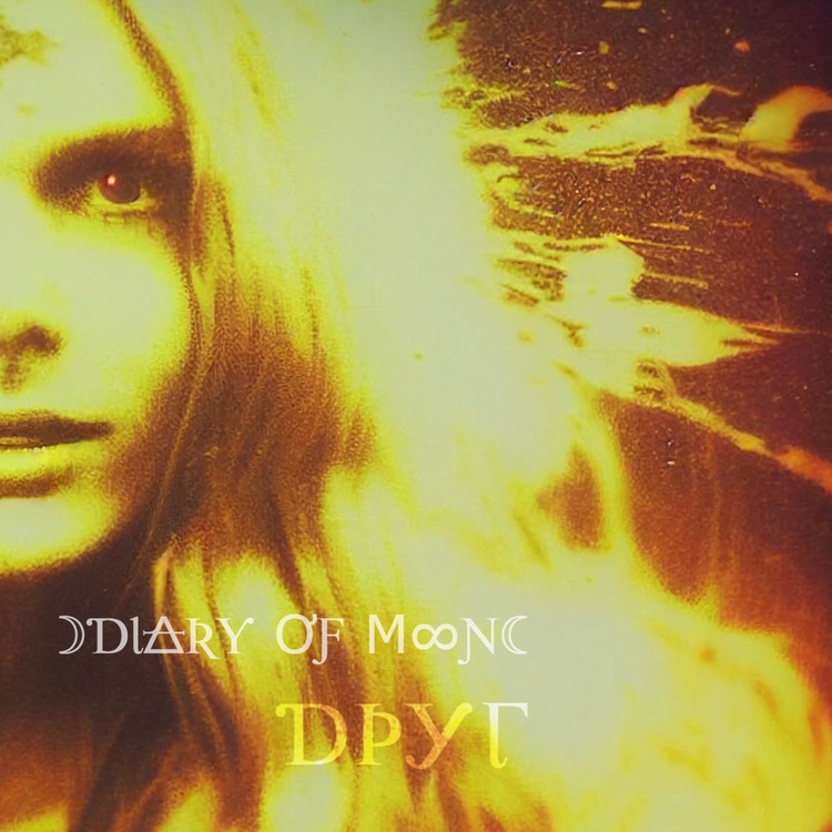 Diary of Moon's avatar image