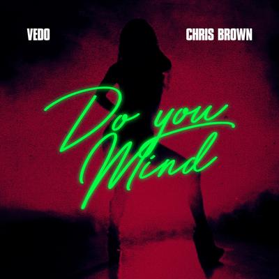 Do You Mind By Vedo, Chris Brown's cover