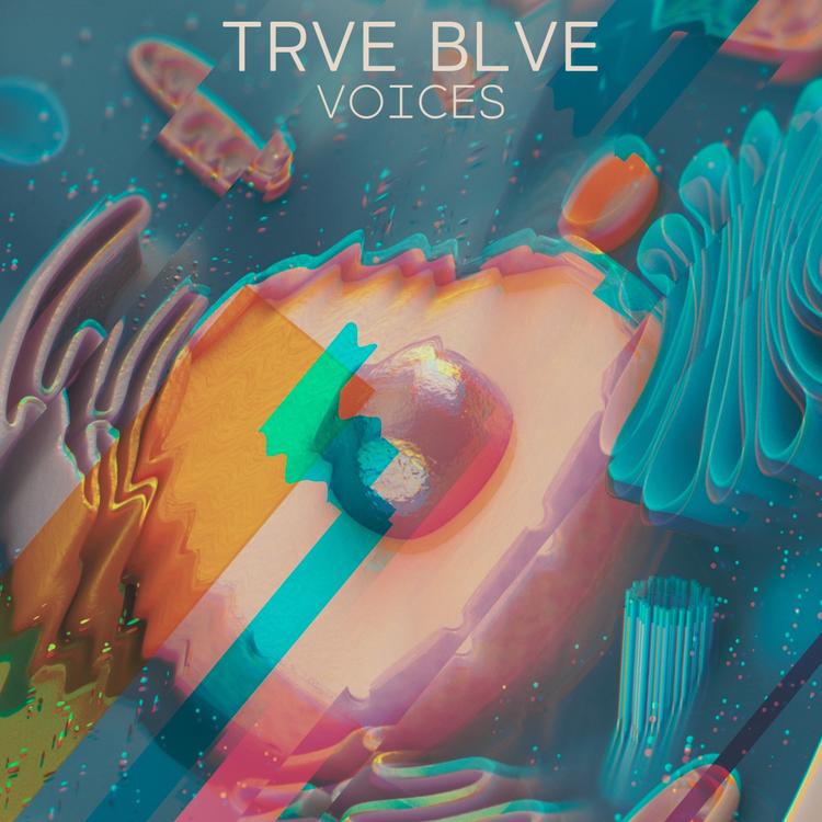 Trve Blve's avatar image