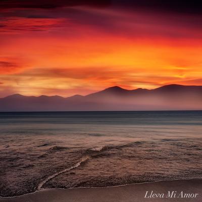 Lleva Mi Amor By Barracuda Sound's cover