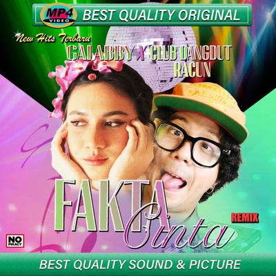 Fakta Cinta (Remix)'s cover