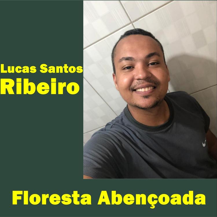 Lucas Santos Ribeiro's avatar image