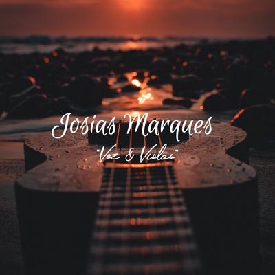 Elias no Pé de Zimbro By Josias Marques's cover