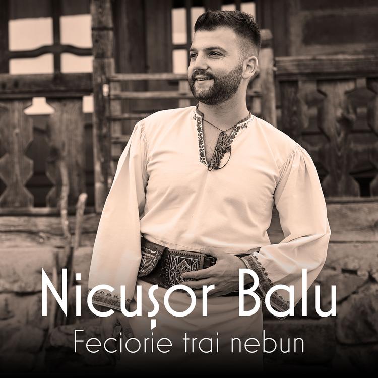 Nicușor Balu's avatar image