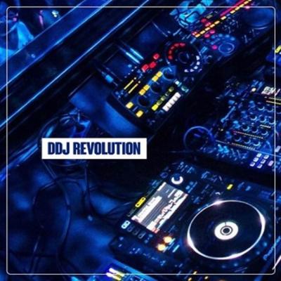 DJ Party Dutch Jungle Dutch Breakdutch By DJ Revolution ID's cover