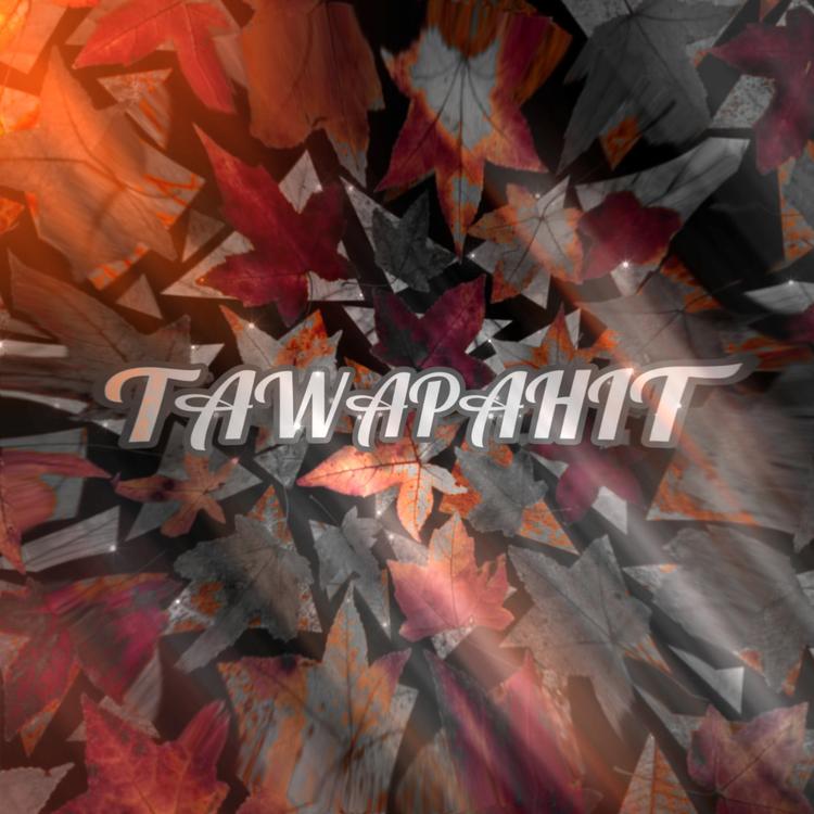 TAWAPAHIT's avatar image