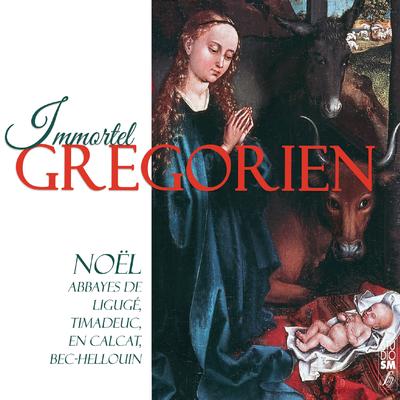 Immortel grégorien - Noël's cover