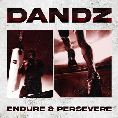 Endure & Persevere's cover