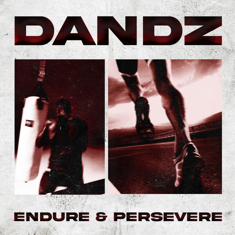 Dandz's avatar image