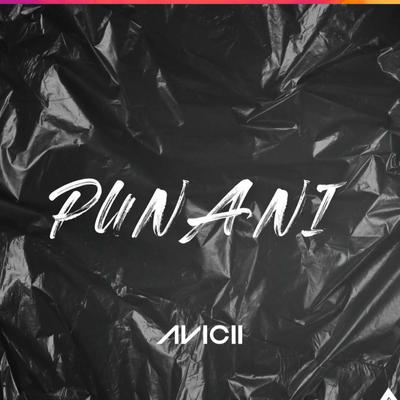 AVICII PUNANI Remix (Radio Edit)'s cover