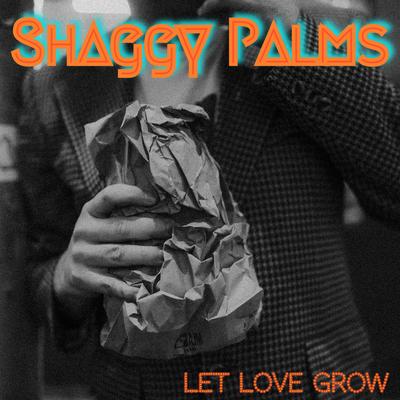 Shaggy Palms's cover