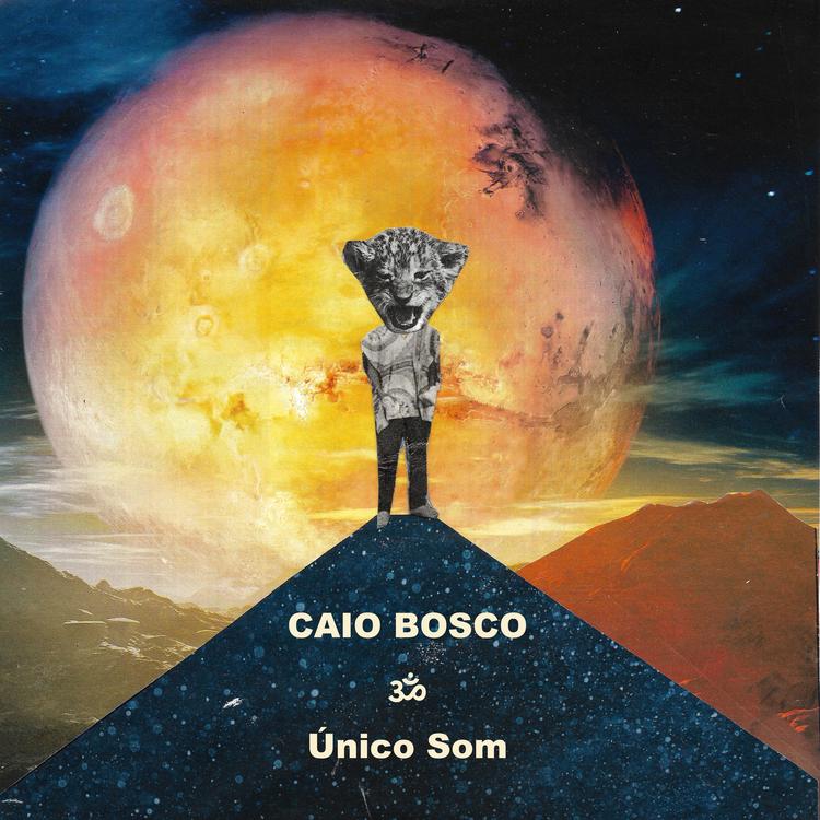 Caio Bosco's avatar image