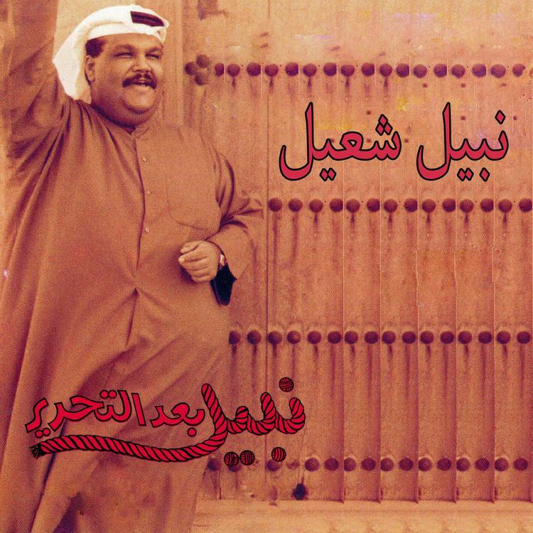 Nabeel Shuail's avatar image