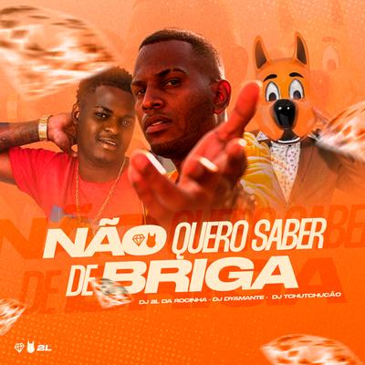 Não Quero Saber de Briga By DJ 2L da Rocinha, DJ Tchutchucão, Dyamante DJ's cover
