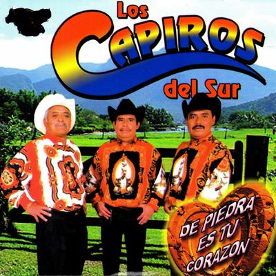 Los Capiros Del Sur's cover