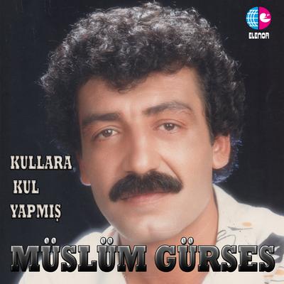 Kullara Kul Yapmış's cover