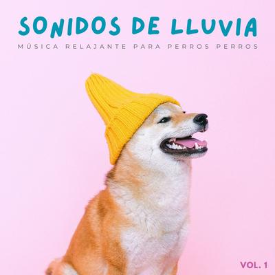 Salpicaduras De Lluvia's cover