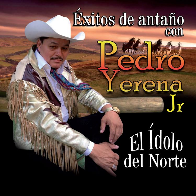 Pedro Yerena Jr.'s avatar image