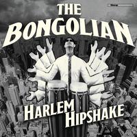 The Bongolian's avatar cover