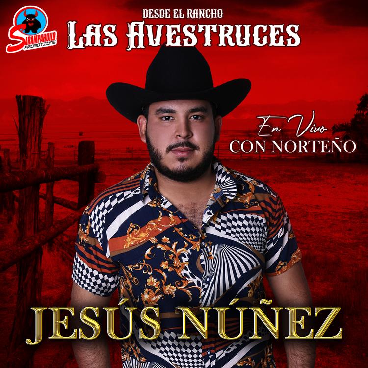 JESUS NUÑEZ's avatar image