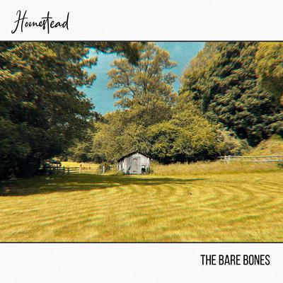 Homestead By The Bare Bones's cover