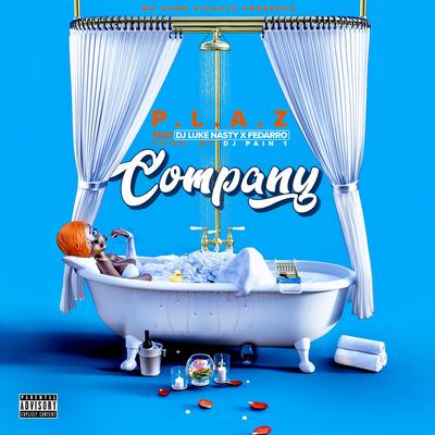 Company's cover